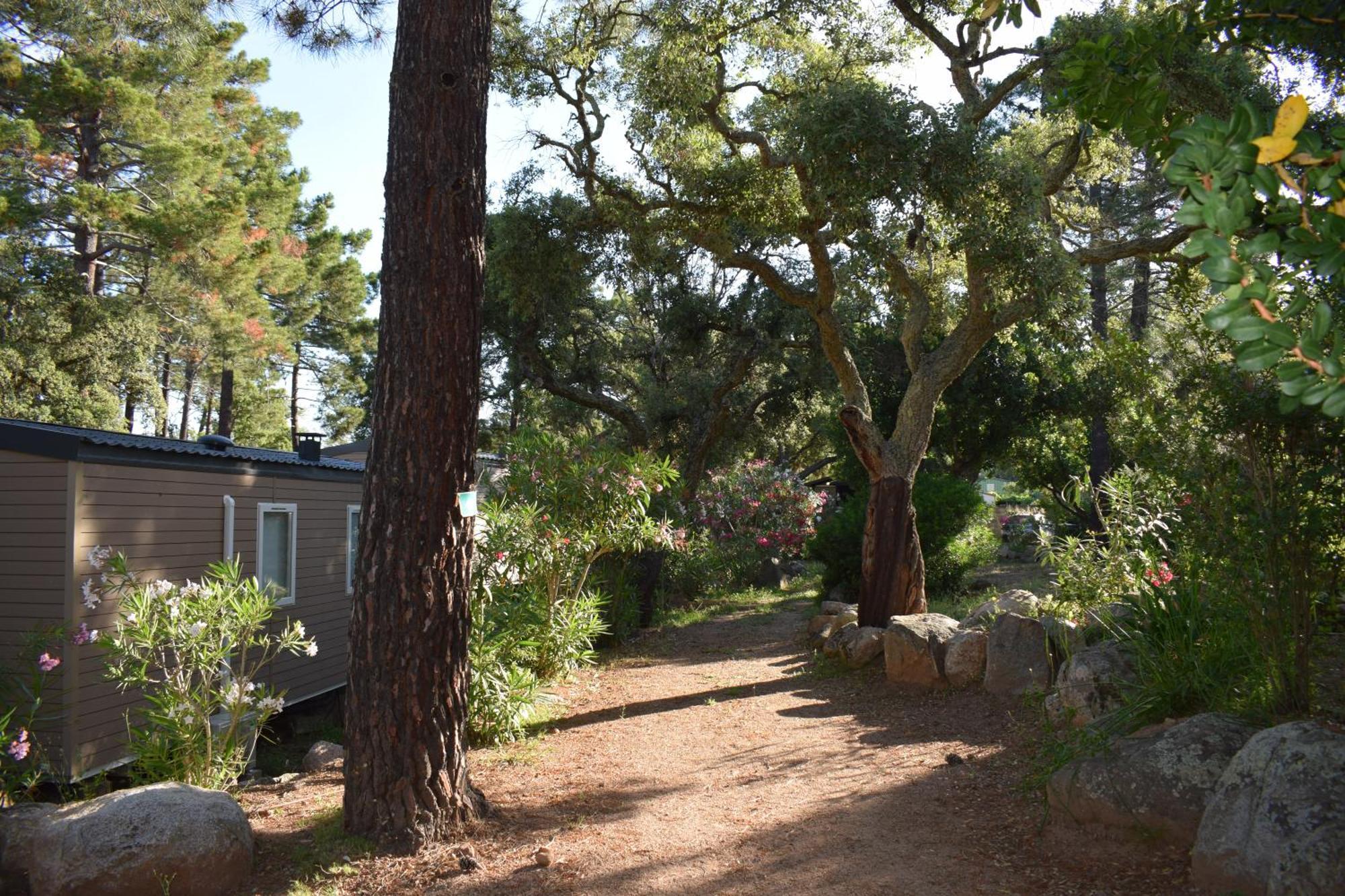 Petralegna Villa Porto-Vecchio  Luaran gambar