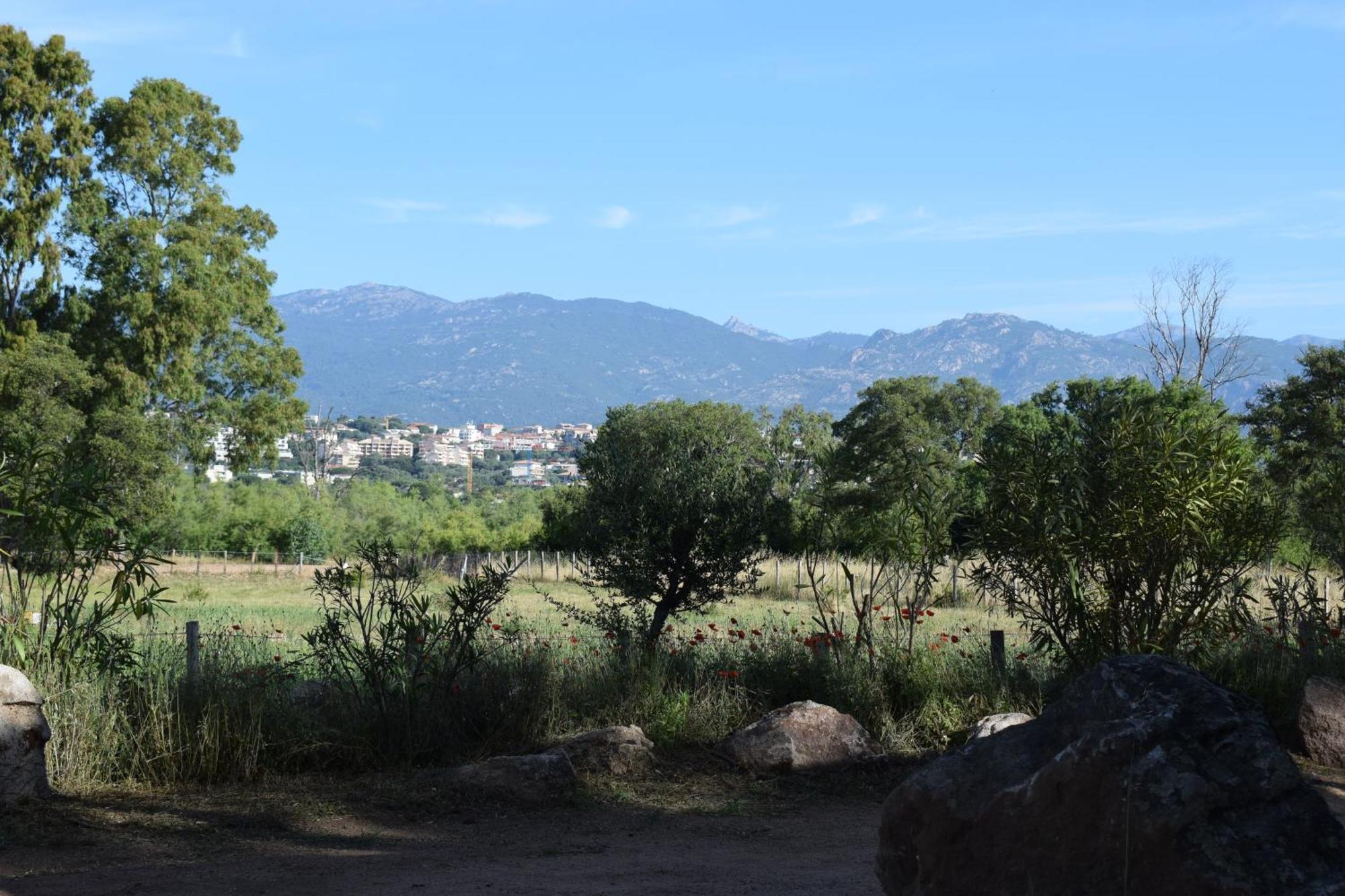 Petralegna Villa Porto-Vecchio  Luaran gambar