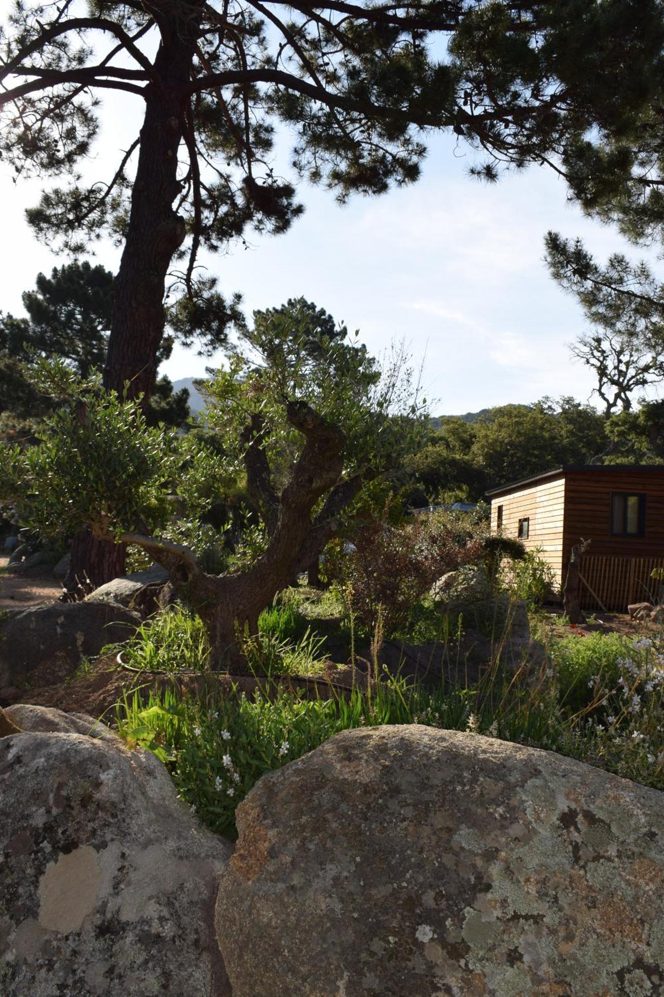 Petralegna Villa Porto-Vecchio  Luaran gambar