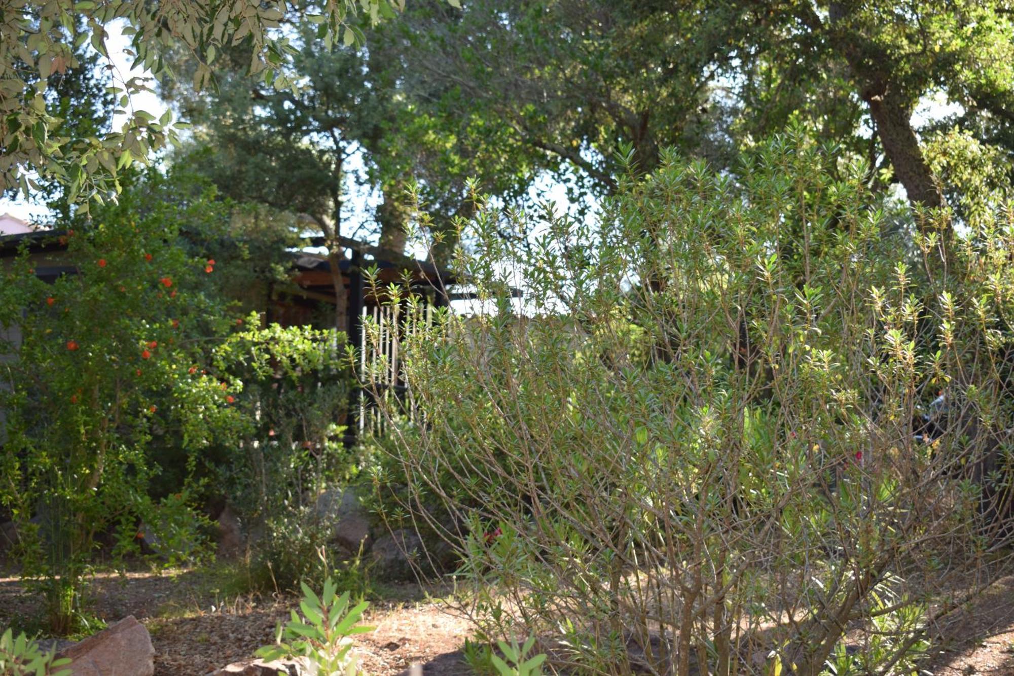 Petralegna Villa Porto-Vecchio  Luaran gambar